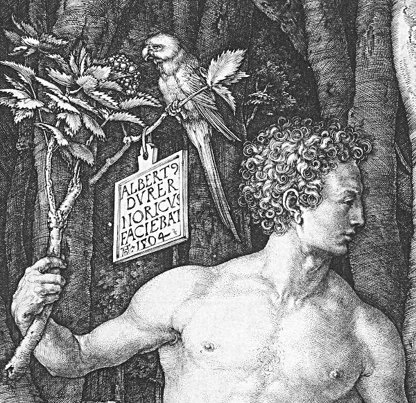 Albrecht Dürer: Adam und Eva, 1504 (Detail)