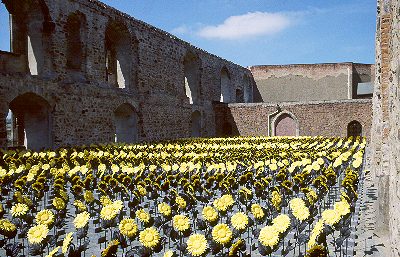 Kunst - Blumen - Garten